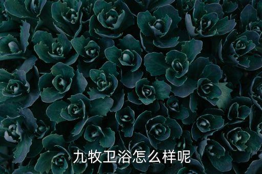  九牧衛(wèi)浴怎么樣呢