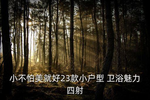 小不怕美就好23款小戶型 衛(wèi)浴魅力四射