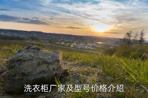洗衣機衛(wèi)浴柜巖板圖片大全