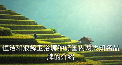 恒維衛(wèi)浴是什么品牌,arrow是什么品牌衛(wèi)浴