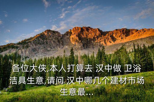 各位大俠,本人打算去 漢中做 衛(wèi)浴潔具生意,請問 漢中哪幾個建材市場生意最...