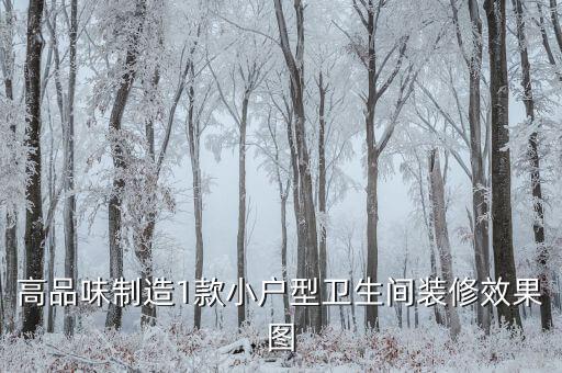 高品味制造1款小戶型衛(wèi)生間裝修效果圖