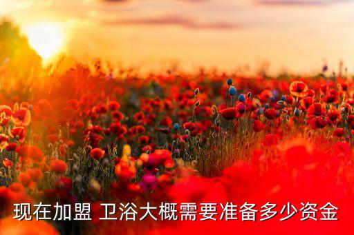 衛(wèi)浴加盟品牌海報(bào)模板圖片