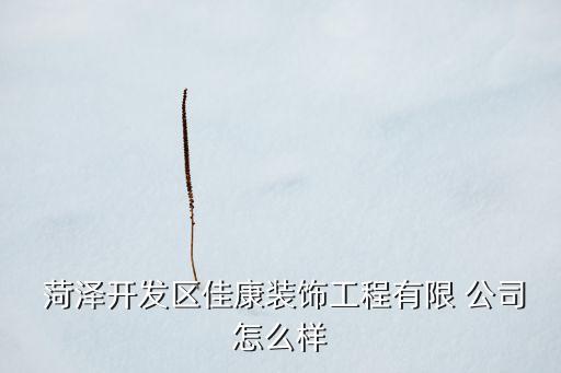  菏澤開發(fā)區(qū)佳康裝飾工程有限 公司怎么樣
