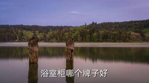 沁海伽藍(lán)衛(wèi)浴地址電話
