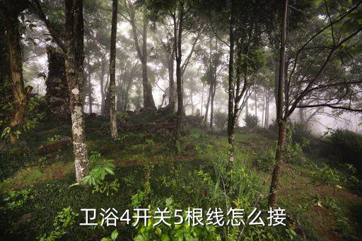  衛(wèi)浴4開關(guān)5根線怎么接