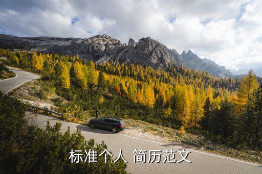 衛(wèi)浴代理品牌文案簡歷模板