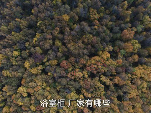 威仕尼衛(wèi)浴廠家電話地址