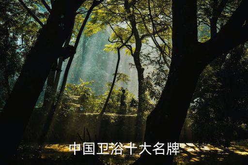廣東三四線衛(wèi)浴品牌有哪些,三四線衛(wèi)浴品牌排行