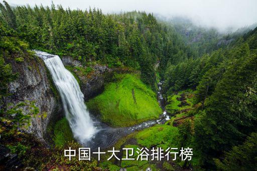 中國十大衛(wèi)浴排行榜