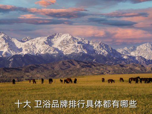 十大 衛(wèi)浴品牌排行具體都有哪些