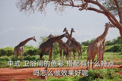 新房衛(wèi)浴顏色搭配圖片大全,新房裝修門的顏色搭配圖片