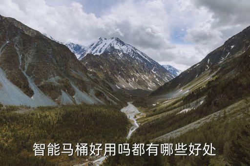 智能馬桶好用嗎都有哪些好處