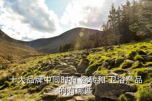 廉橋鎮(zhèn)瓷磚衛(wèi)浴店鋪地址