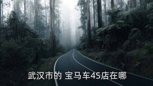  武漢市的 寶馬車4S店在哪