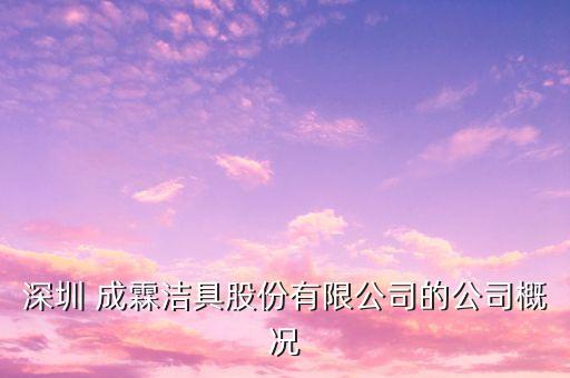 深圳 成霖潔具股份有限公司的公司概況