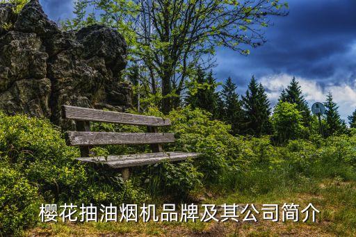  櫻花抽油煙機(jī)品牌及其公司簡(jiǎn)介