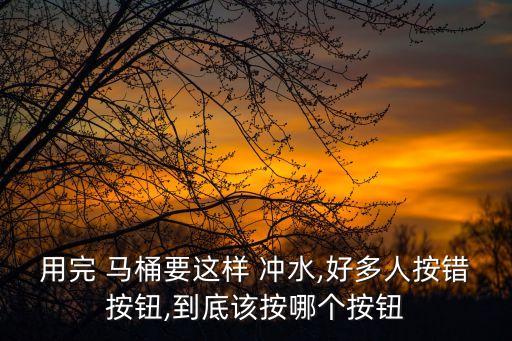 鷹衛(wèi)浴馬桶沖水原理圖片