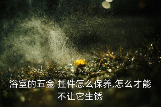 浴室的五金 掛件怎么保養(yǎng),怎么才能不讓它生銹