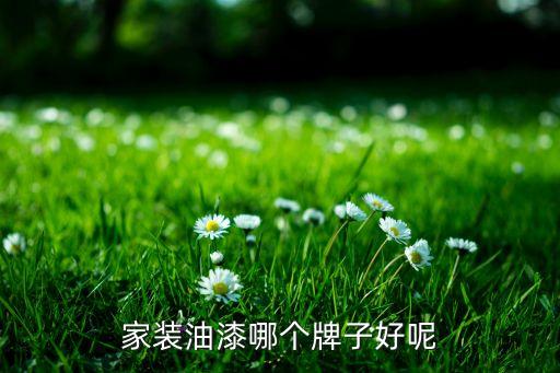家裝油漆哪個牌子好呢