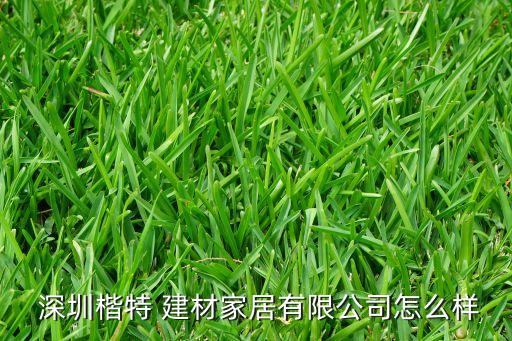  深圳楷特 建材家居有限公司怎么樣