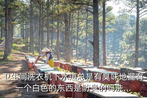 衛(wèi)生間洗衣機下水道總是有臭味地漏有一個白色的東西是防臭的嗎洗...