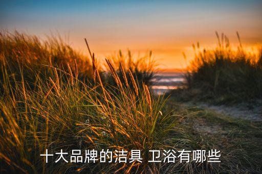 十大品牌的潔具 衛(wèi)浴有哪些