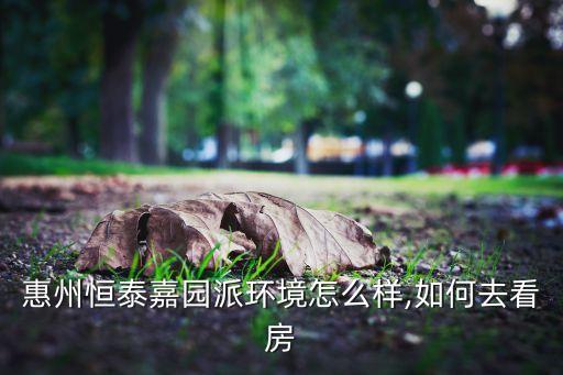 惠州恒泰嘉園派環(huán)境怎么樣,如何去看房