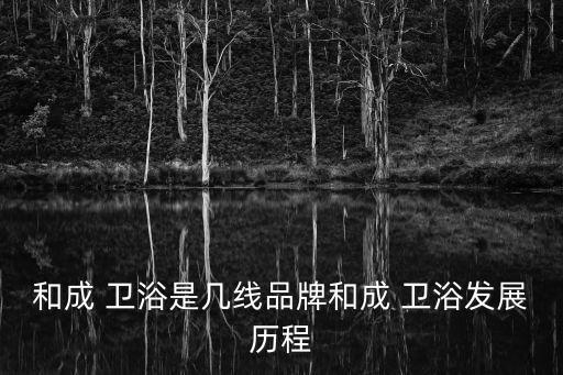 和成 衛(wèi)浴是幾線品牌和成 衛(wèi)浴發(fā)展歷程