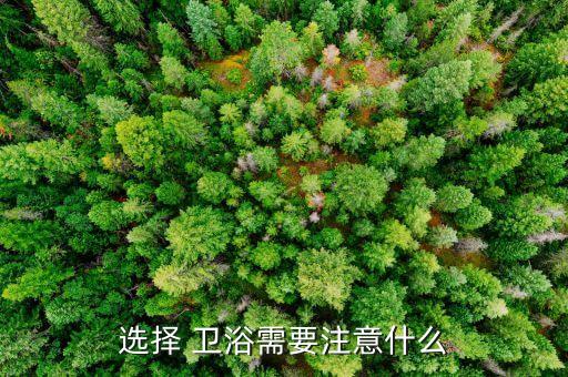 選擇 衛(wèi)浴需要注意什么