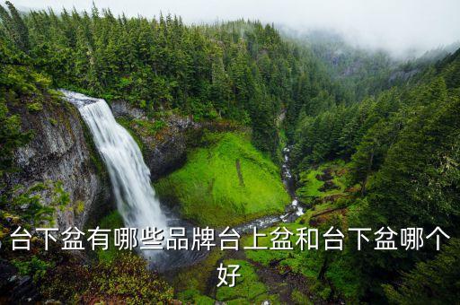 臺(tái)下盆有哪些品牌臺(tái)上盆和臺(tái)下盆哪個(gè)好