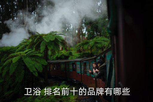  衛(wèi)浴 排名前十的品牌有哪些