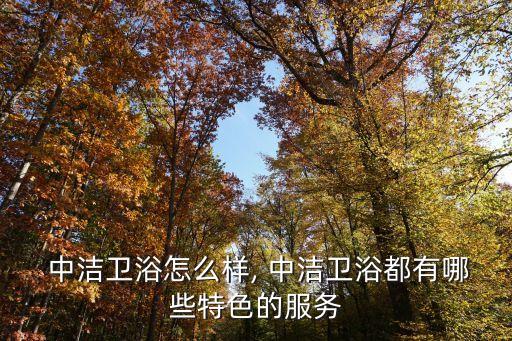  中潔衛(wèi)浴怎么樣, 中潔衛(wèi)浴都有哪些特色的服務(wù)