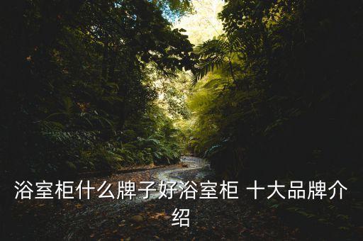 國內衛(wèi)浴洗臉柜十大品牌