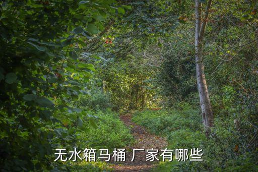 無水箱馬桶 廠家有哪些