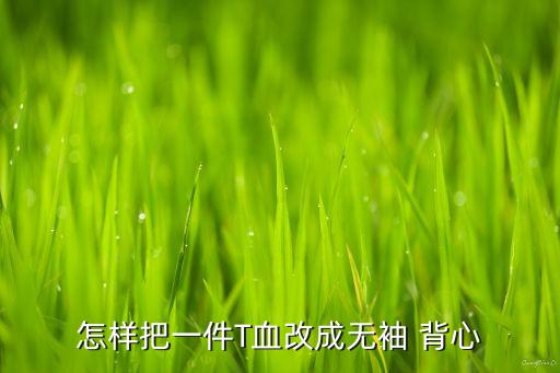 怎樣把一件T血改成無袖 背心