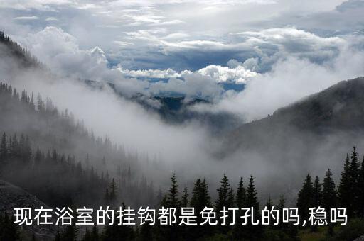 現(xiàn)在浴室的掛鉤都是免打孔的嗎,穩(wěn)嗎