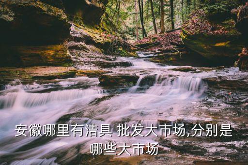 安徽哪里有潔具 批發(fā)大市場,分別是哪些大市場