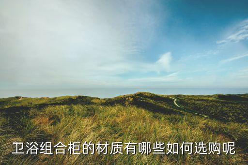 衛(wèi)浴組合柜的材質(zhì)有哪些如何選購(gòu)呢