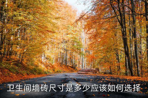 衛(wèi)浴瓷磚貼多大的好看圖片,小戶型貼多大瓷磚好看