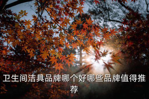 衛(wèi)生間潔具品牌哪個(gè)好哪些品牌值得推薦