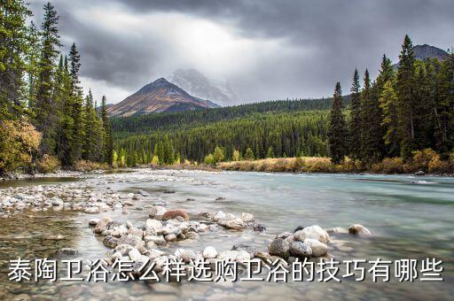 泰陶衛(wèi)浴怎么樣選購(gòu)衛(wèi)浴的技巧有哪些