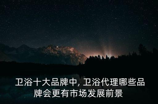  衛(wèi)浴十大品牌中, 衛(wèi)浴代理哪些品牌會(huì)更有市場(chǎng)發(fā)展前景