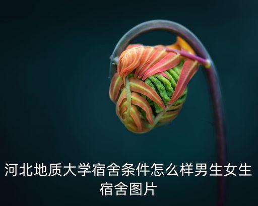 美女圖片衛(wèi)浴