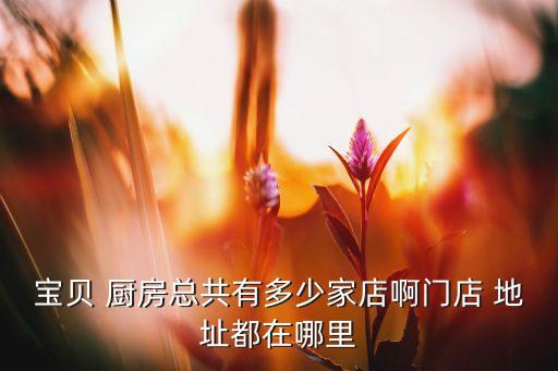 寶貝 廚房總共有多少家店啊門店 地址都在哪里