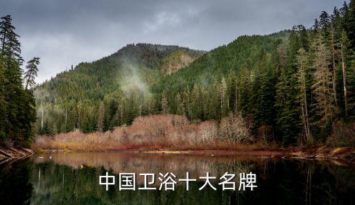 中國衛(wèi)浴十大名牌