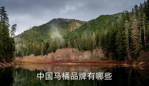 中國馬桶品牌有哪些