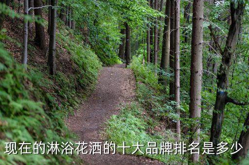 現(xiàn)在的淋浴花灑的十大品牌排名是多少