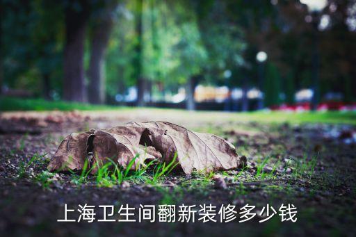 上海衛(wèi)生間翻新裝修多少錢