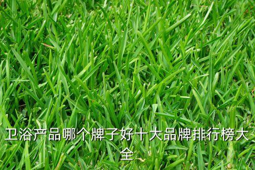 衛(wèi)浴產(chǎn)品哪個(gè)牌子好十大品牌排行榜大全